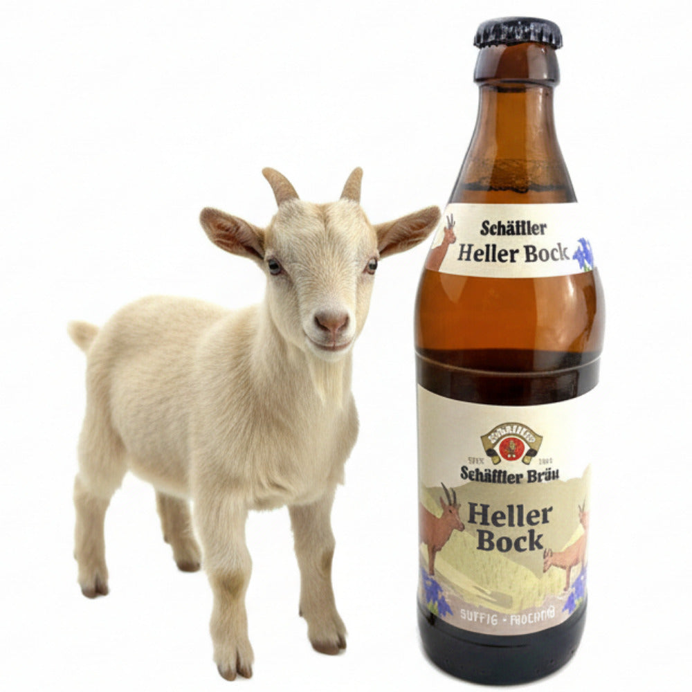 Schäffler Heller Bock 0,5L - Süffiges Starkbier aus dem Allgäu