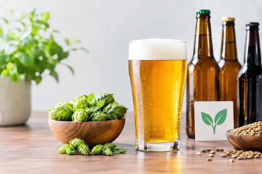 Bier vegan prüfen: So erkennst du vegane Sorten