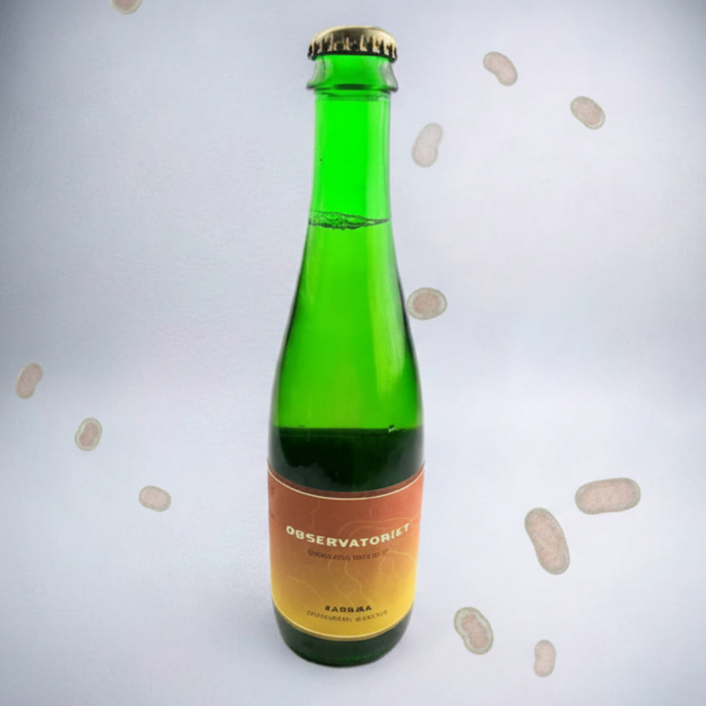 Observatoriet Pangaea Dryhopped Wild Ale 0,375L – Bière acide danoise