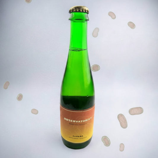 Observatoriet Pangaea Dryhopped Wild Ale 0,375L – Dänisches Sour Beer